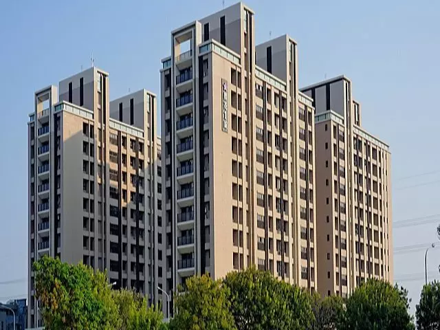 43.櫻花一綻